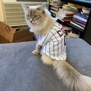 Meet your Posher, Ana